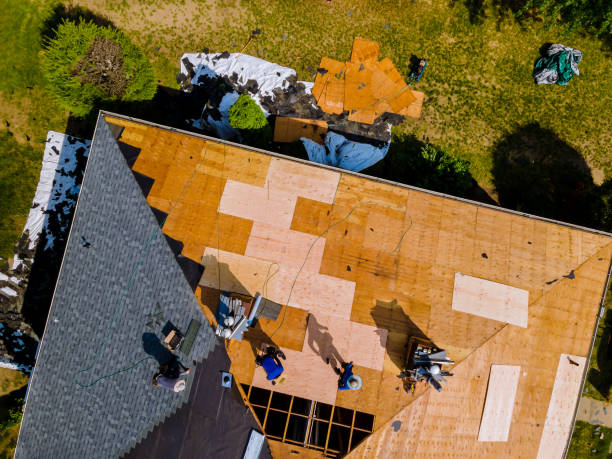 Best Roof Waterproofing Services  in Knoxvle, IL