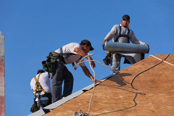 Best Slate Roofing Contractor  in Knoxvle, IL