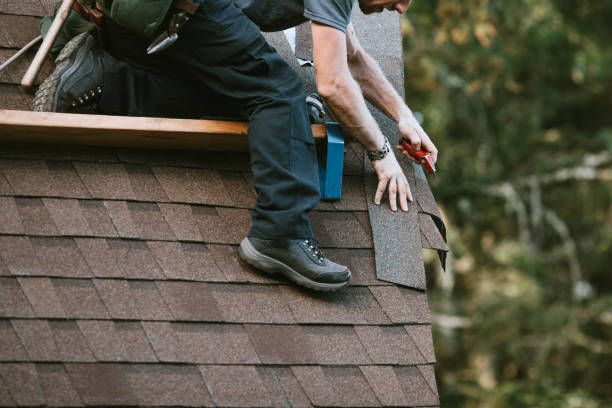 Best Roof Gutter Cleaning  in Knoxvle, IL